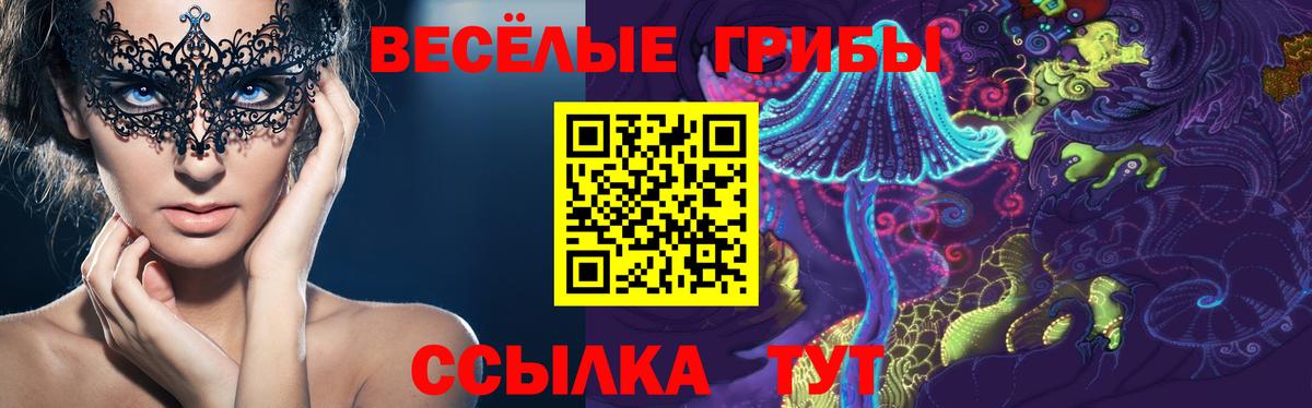 Псилоцибиновые грибы ЛСД Калининград