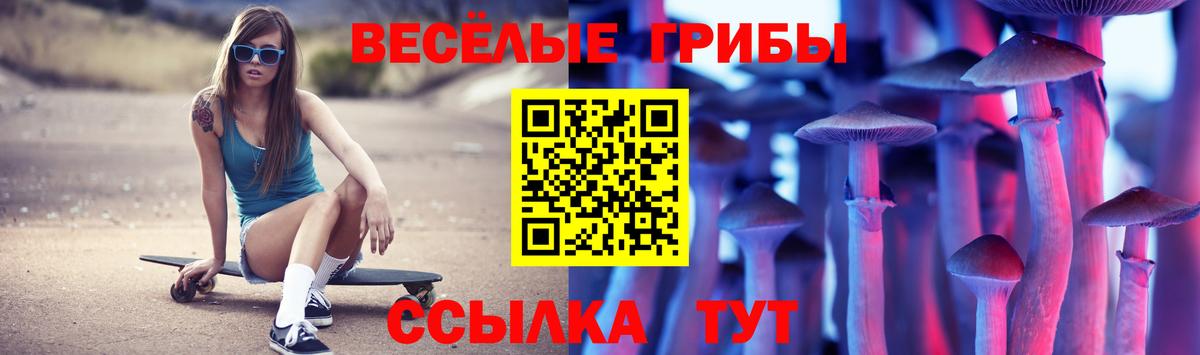 Калининград  Галлюциногенные грибы Magic Shrooms  Вход с VPN  магазин продажи   Псилоцибиновые грибы GOLDEN TEACHER 
